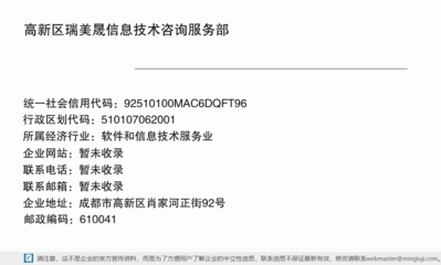 数字化转型浪潮下的“轻骑兵” 解码高新区瑞美晟信息技术咨询服务部的专业赋能之道